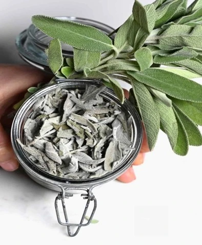 Sage